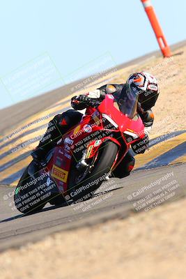 media/Feb-12-2022-SoCal Trackdays (Sat) [[3b21b94a56]]/Turn 12 (140pm)/